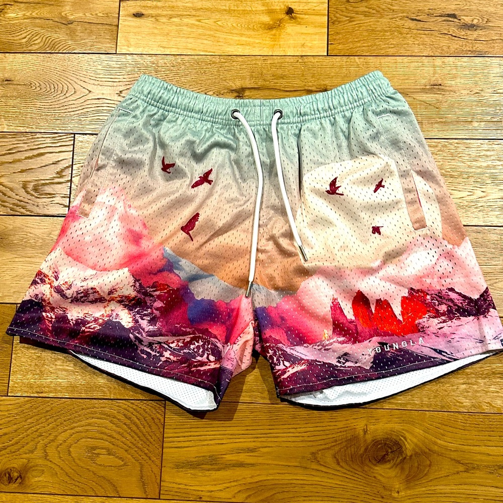 Young LA Sedona Pink Mesh Shorts